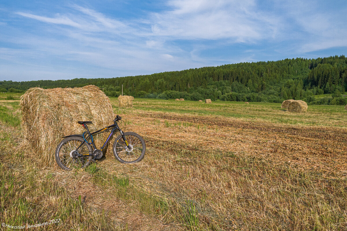 Летняя безмятежность у реки Ухта, любимое место, где луга соседствуют с дремучей тайгой - Николай Зиновьев Летняя безмятежность у реки Ухта, любимое место, где луга соседствуют с дремучей тайгой - Николай Зиновьев