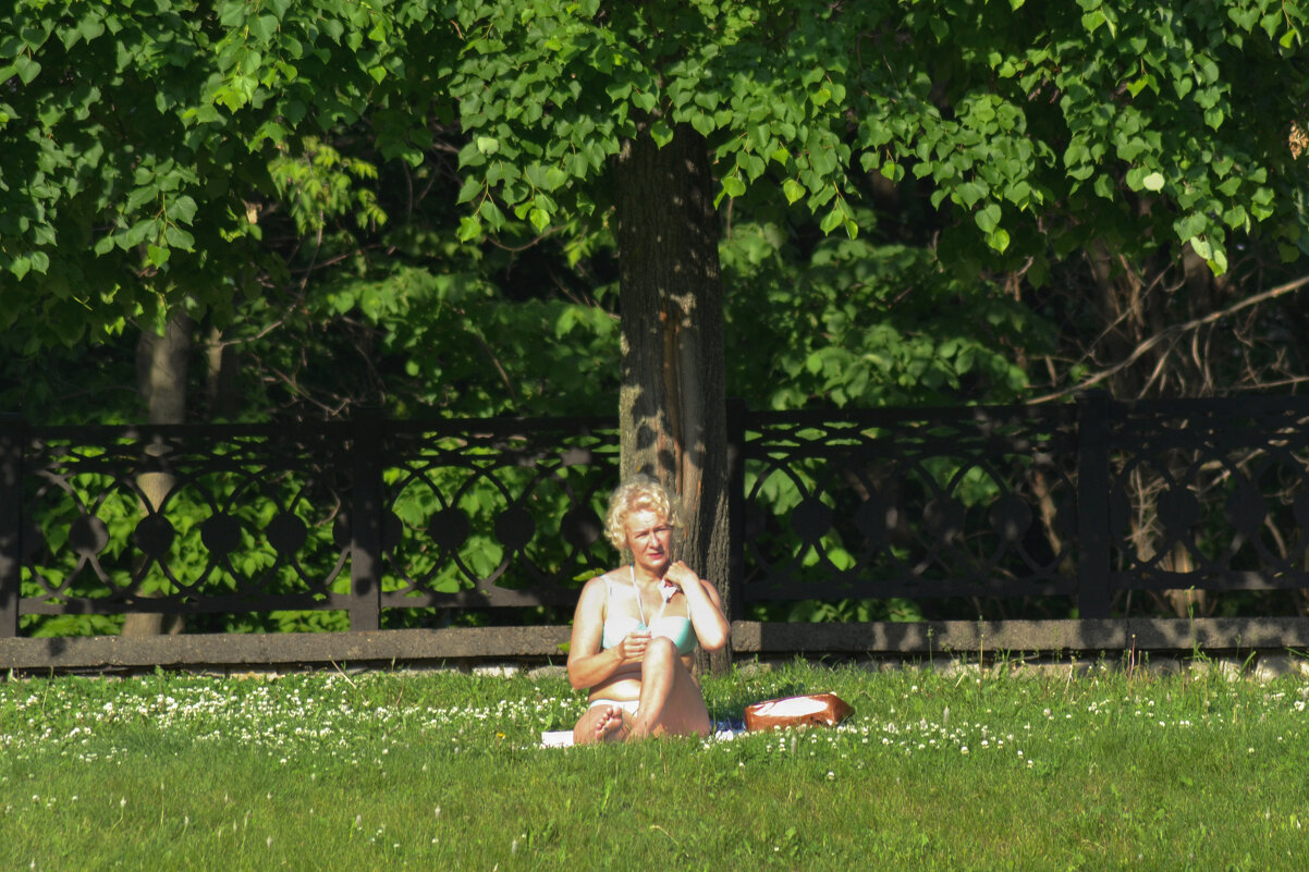 Жара. Июль. - Михаил Курзанцев