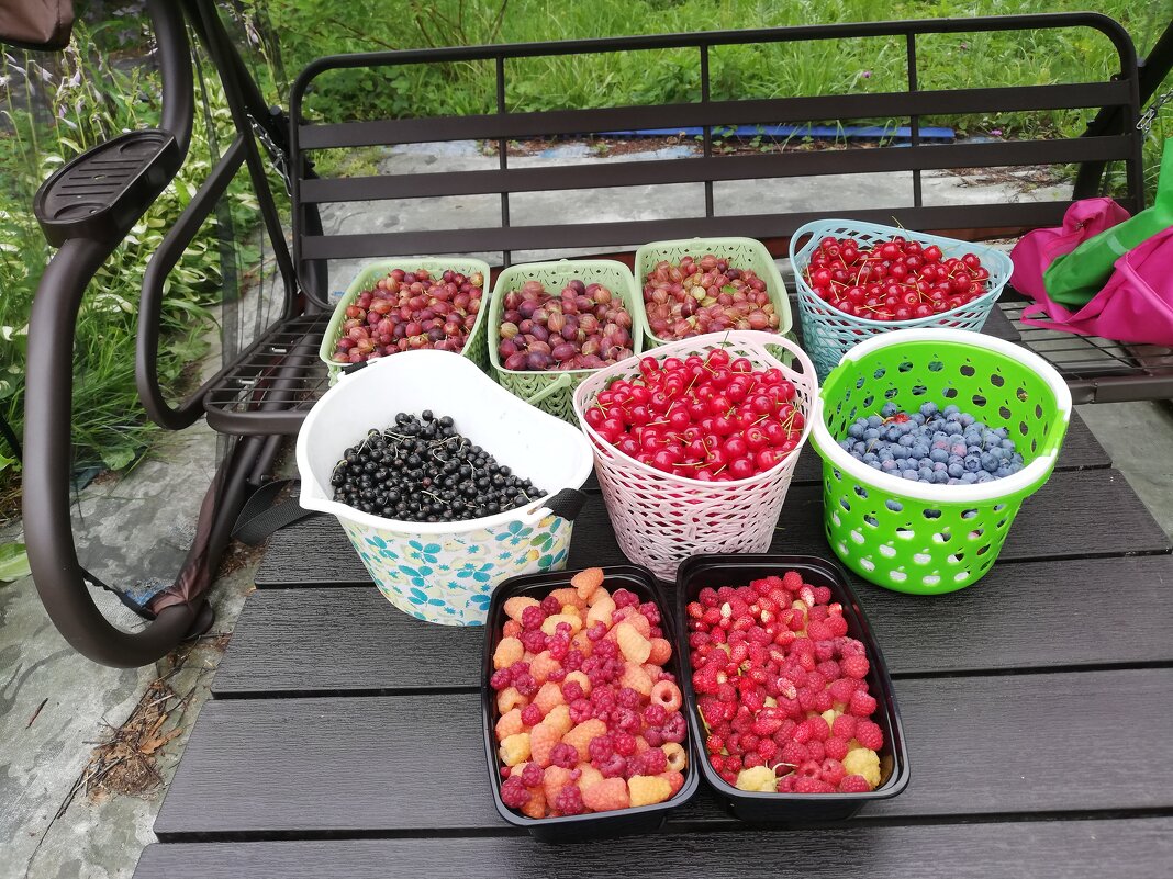 Дачный урожай - Евгений Дачный урожай - Евгений