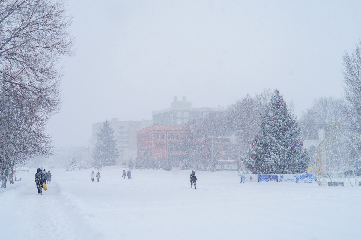Снегопад. - Владимир А.Р. 