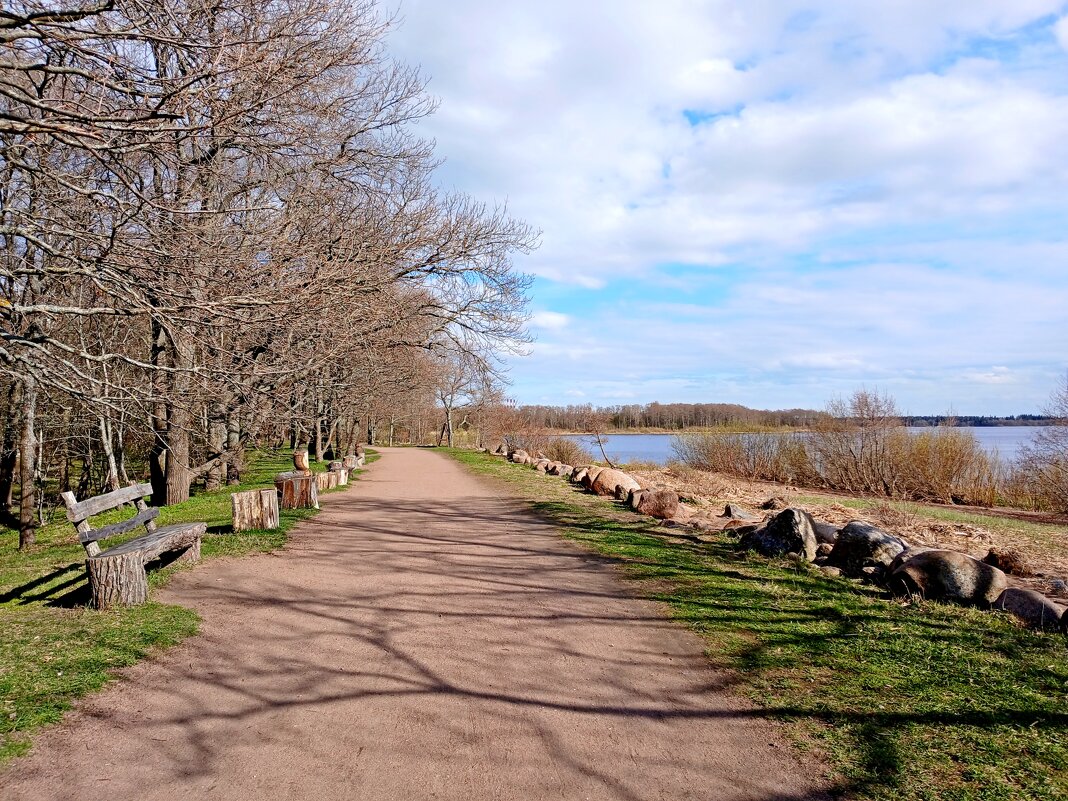 Аллея у Финского залива. - Лия ☼