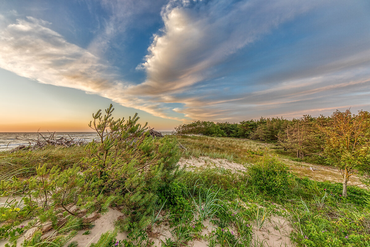 Вечер на дюне - Владимир Самсонов