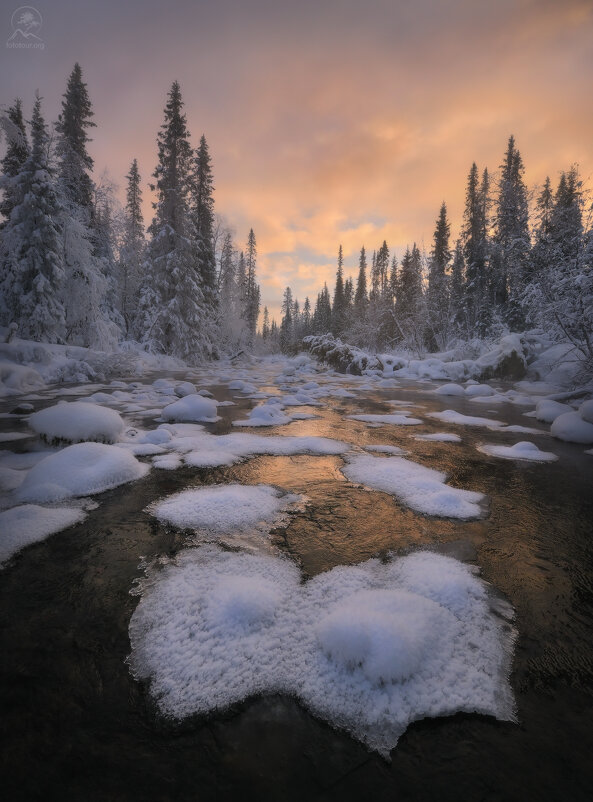 Утром на речке - Анатолий Гордиенко