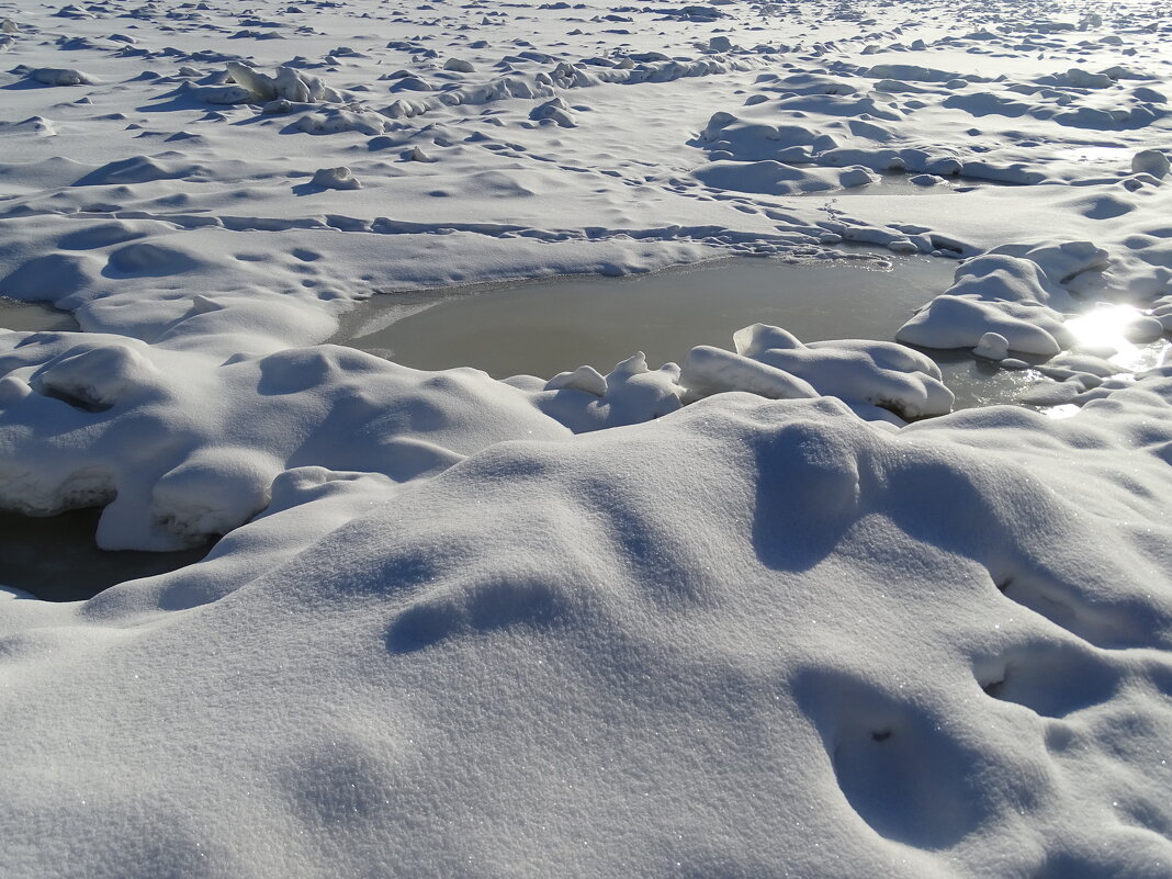 на Северном полюсе - Anna-Sabina Anna-Sabina на Северном полюсе - Anna-Sabina Anna-Sabina