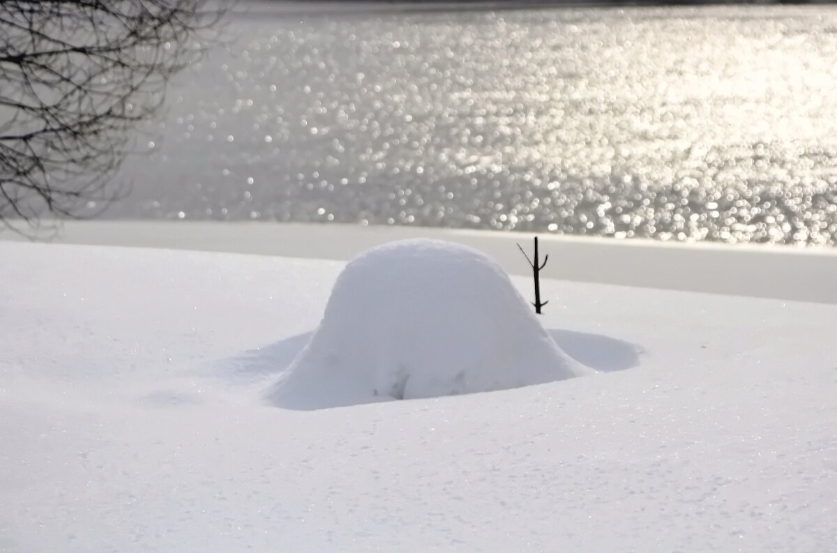 Набережная - Тамара Вебер