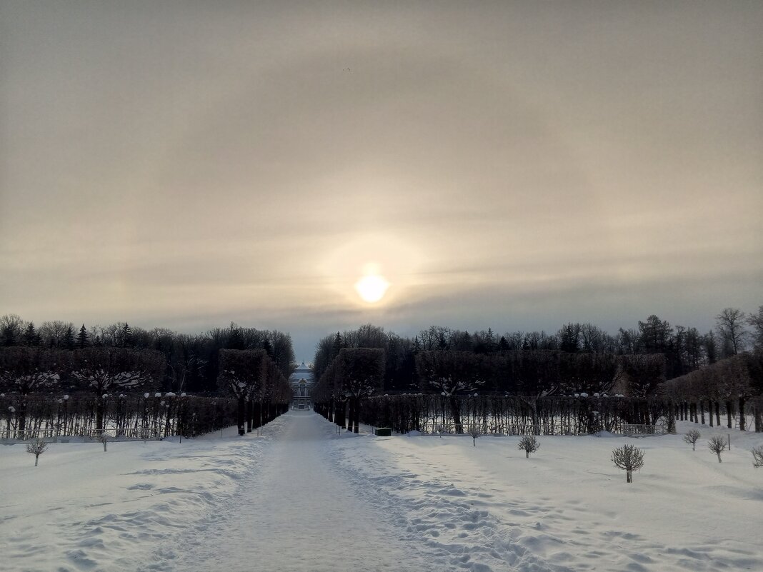 Гало - Сапсан 