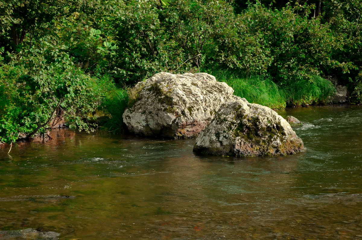 Брат с сестрой - Фарит 