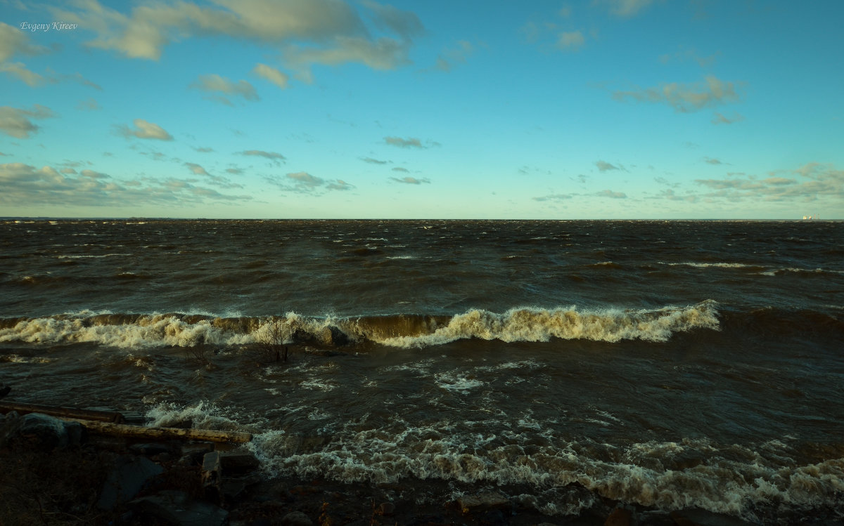 Балтийское море. Финский залив. Ноябрь 2013г. - Евгений Киреев