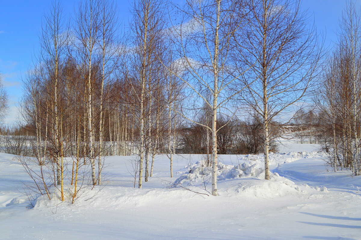 Предвесеннее) - Татьяна Лютаева