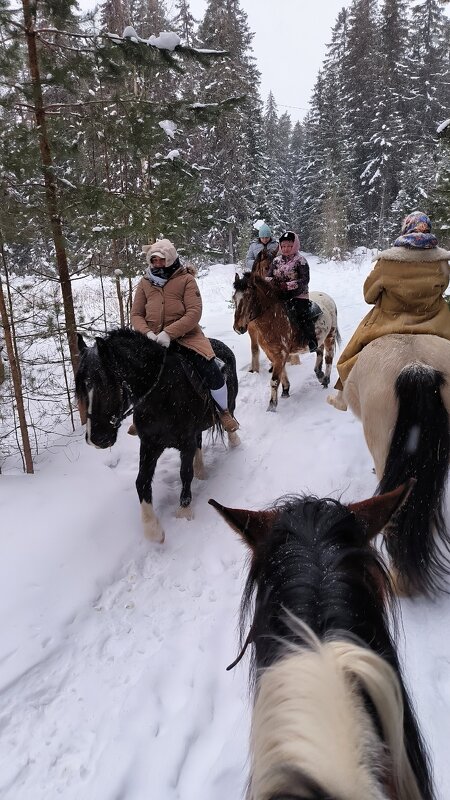 В зимнем лесу. - Ольга 