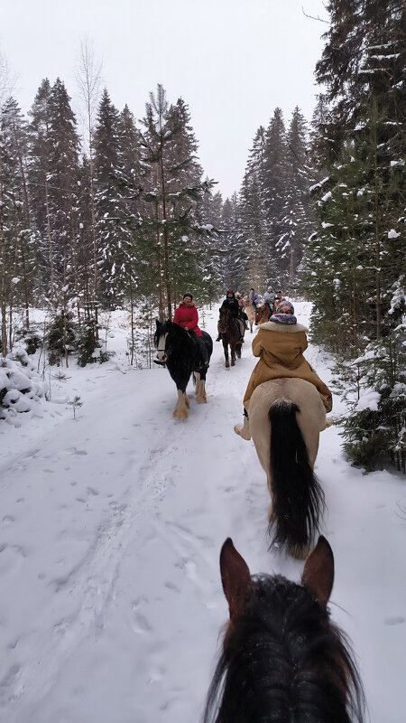 В компании единомышленников. - Ольга 