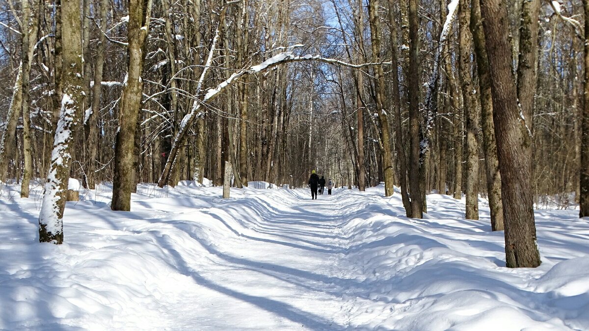 Зимний парк. - Милешкин Владимир Алексеевич 