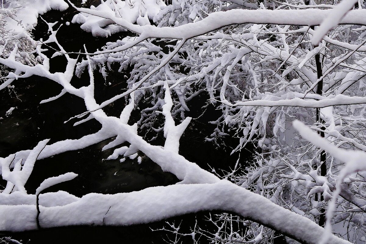 Волшебная зимняя пора - Рита Симонова