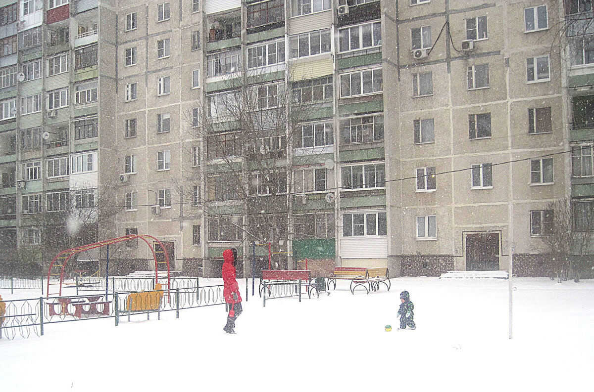 Зимние прогклки - Елена Семигина