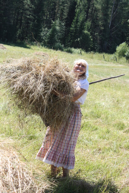 СЕНОКОС - Tata Wolf