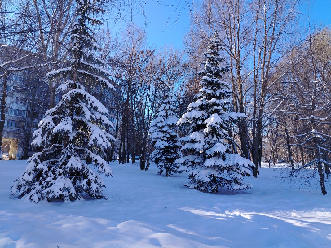 Зимний денек - Надежда 
