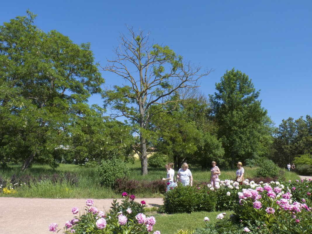 На элскурсии - Валентин Семчишин