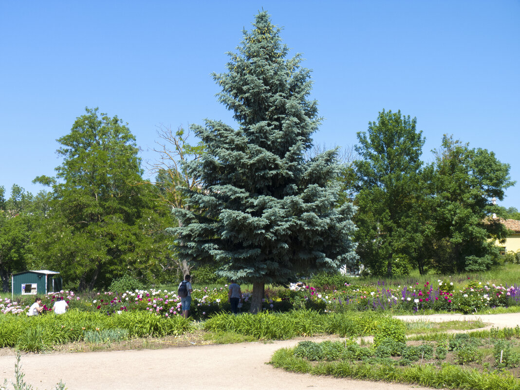 Парк имени Н В Багрова - Валентин Семчишин Парк имени Н В Багрова - Валентин Семчишин