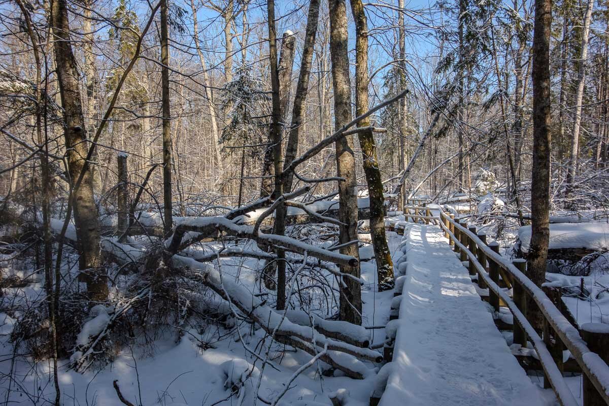 *** - Геннадий Порохов