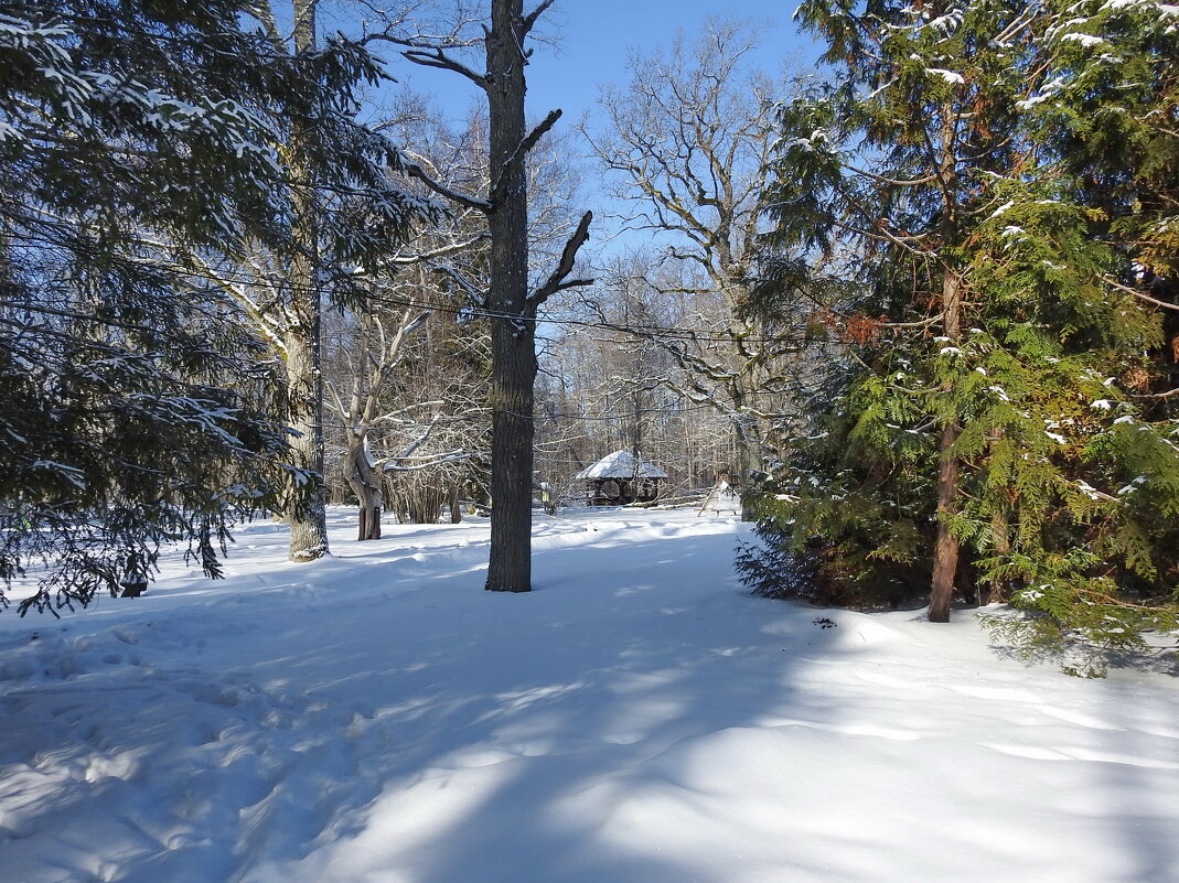 последние дни зимы - ИННА ПОРОХОВА последние дни зимы - ИННА ПОРОХОВА