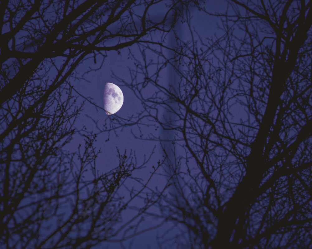 Луна - Илья Шенгелия