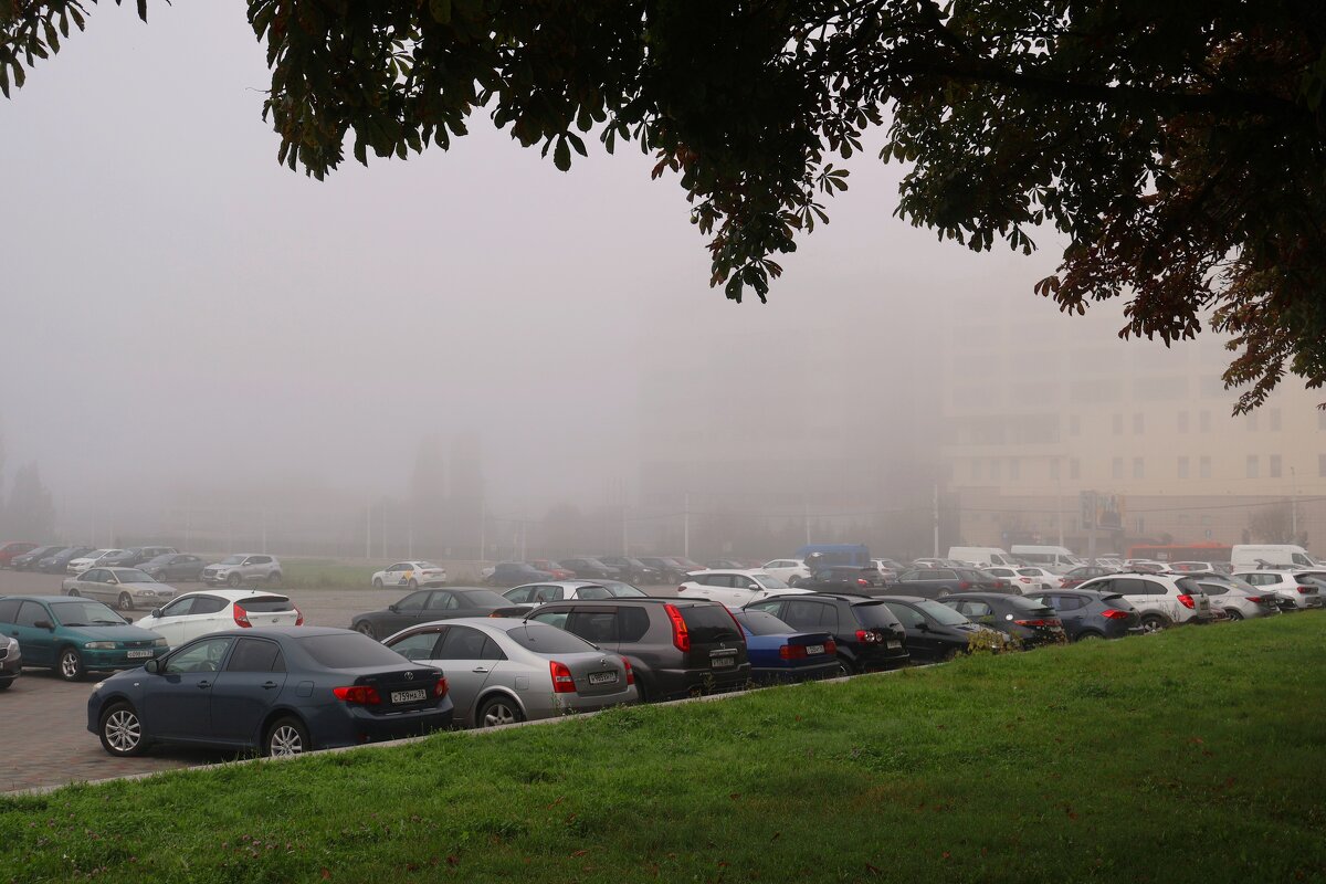 Туман в городе - Сергей Карачин