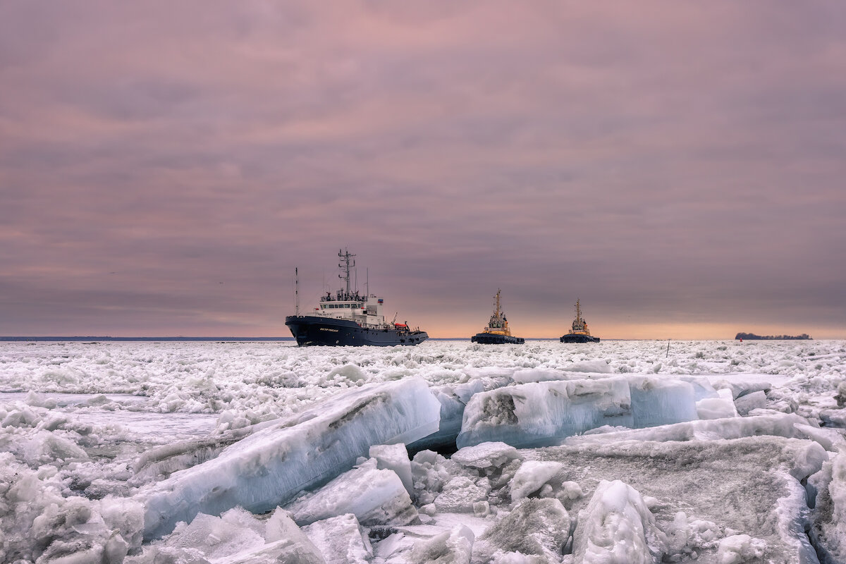 Про Питер - Владимир Колесников