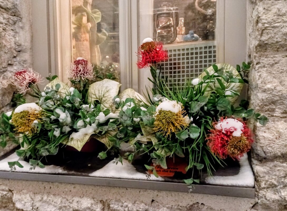 Вечерняя прогулка - Veera V Вечерняя прогулка - Veera V