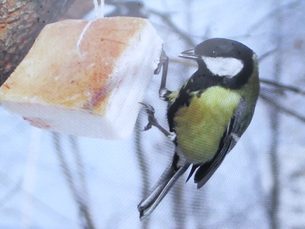 Так вкусно - Людмила Смородинская