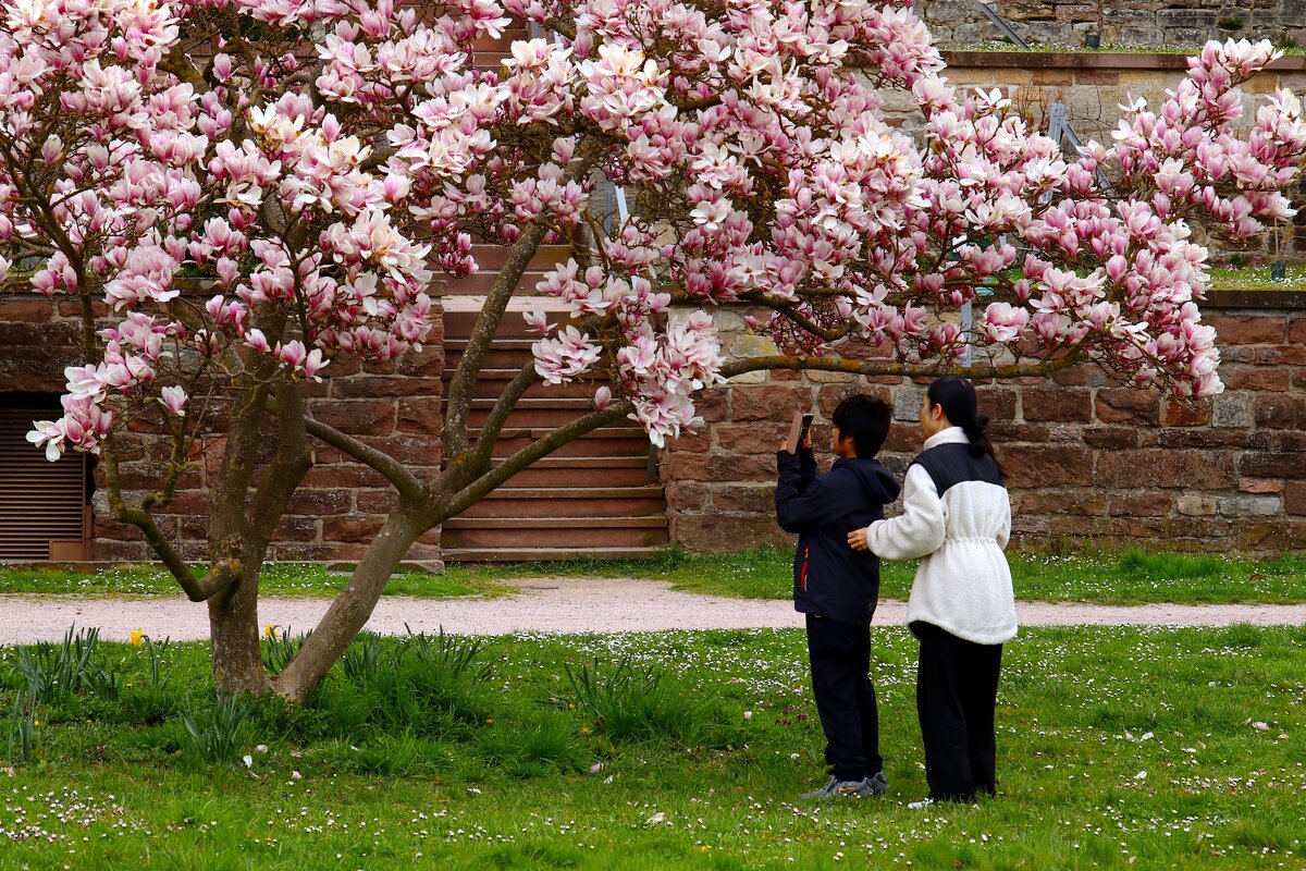 Отправим фото во Вьетнам - Юрий. Шмаков