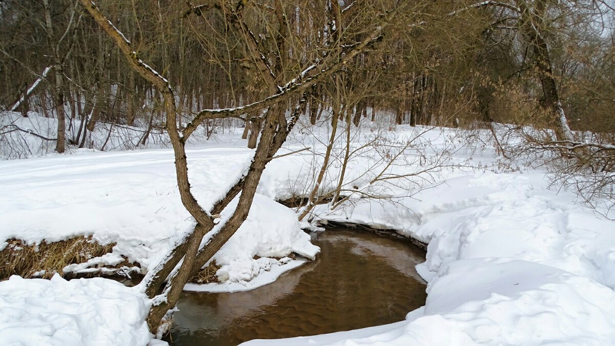Оживают ручьи после зимы. - Милешкин Владимир Алексеевич 