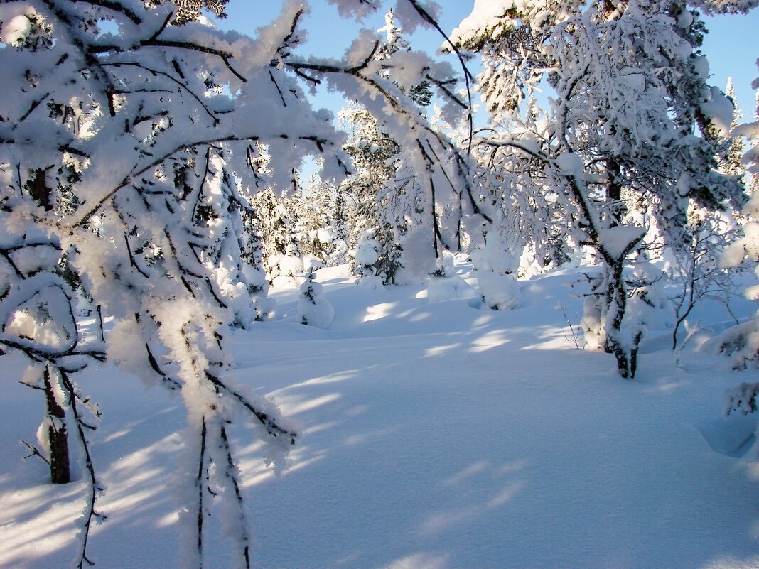 Зимние зарисовки ... - Ravile Зимние зарисовки ... - Ravile