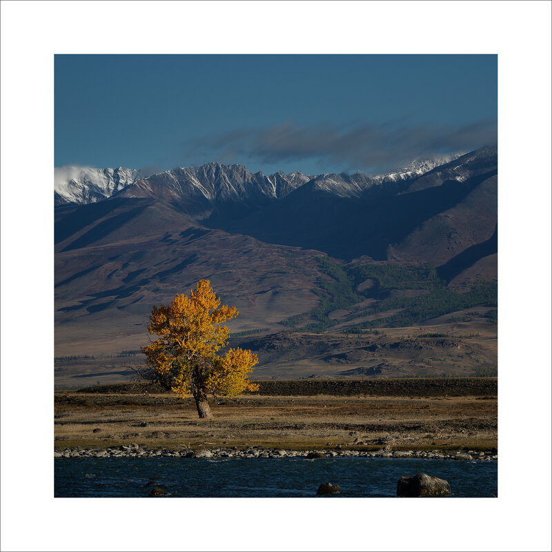 * - Александр Иванов