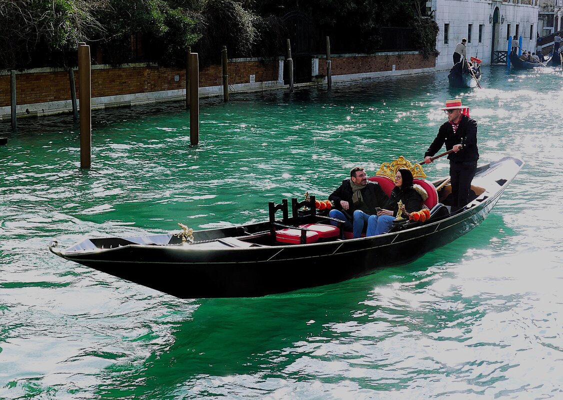 Карнавал в Венеции(серия) - Владимир Манкер