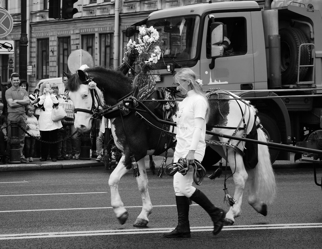 По Невскому коня водили - Виктор Никитенко
