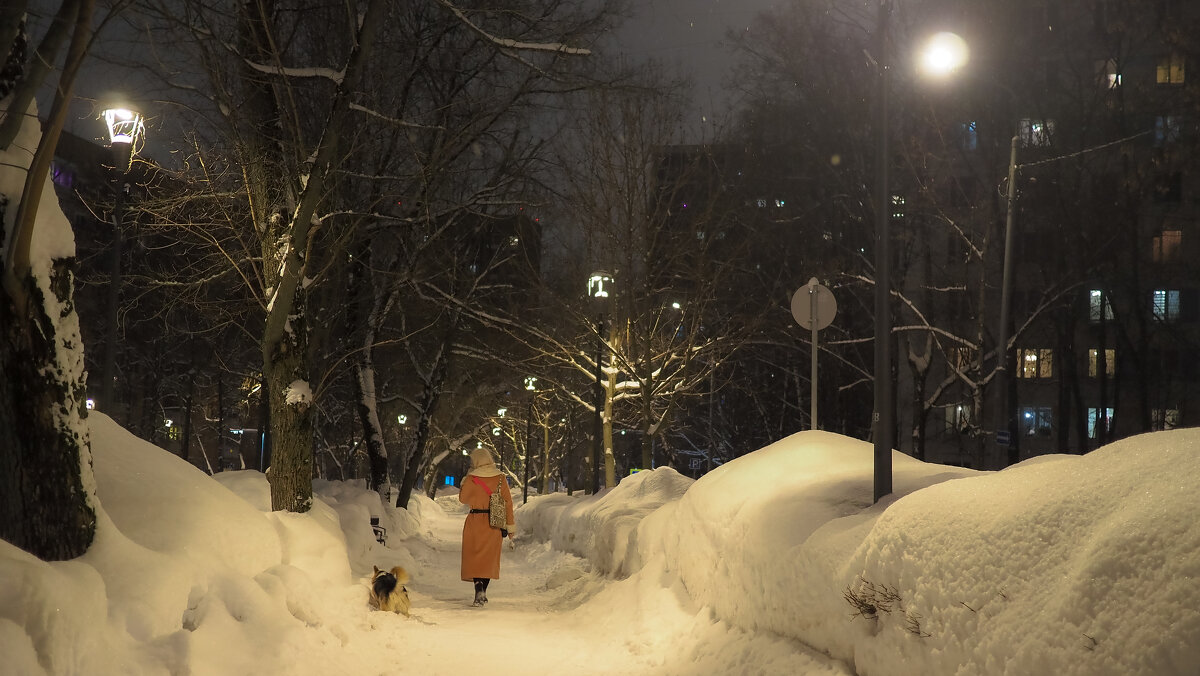 Прогулки в Зимнем Парке - юрий поляков