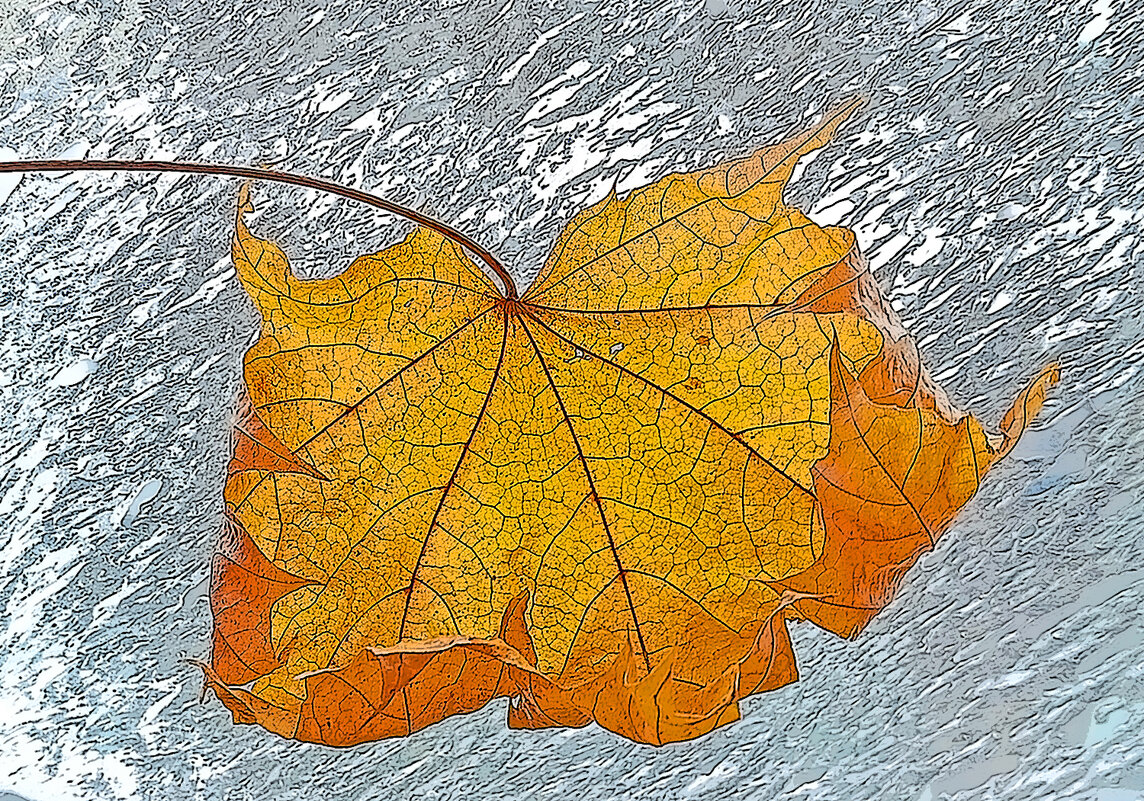 Привет из осени. - Валентина  Нефёдова 