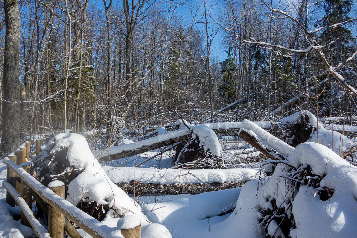 *** - Геннадий Порохов