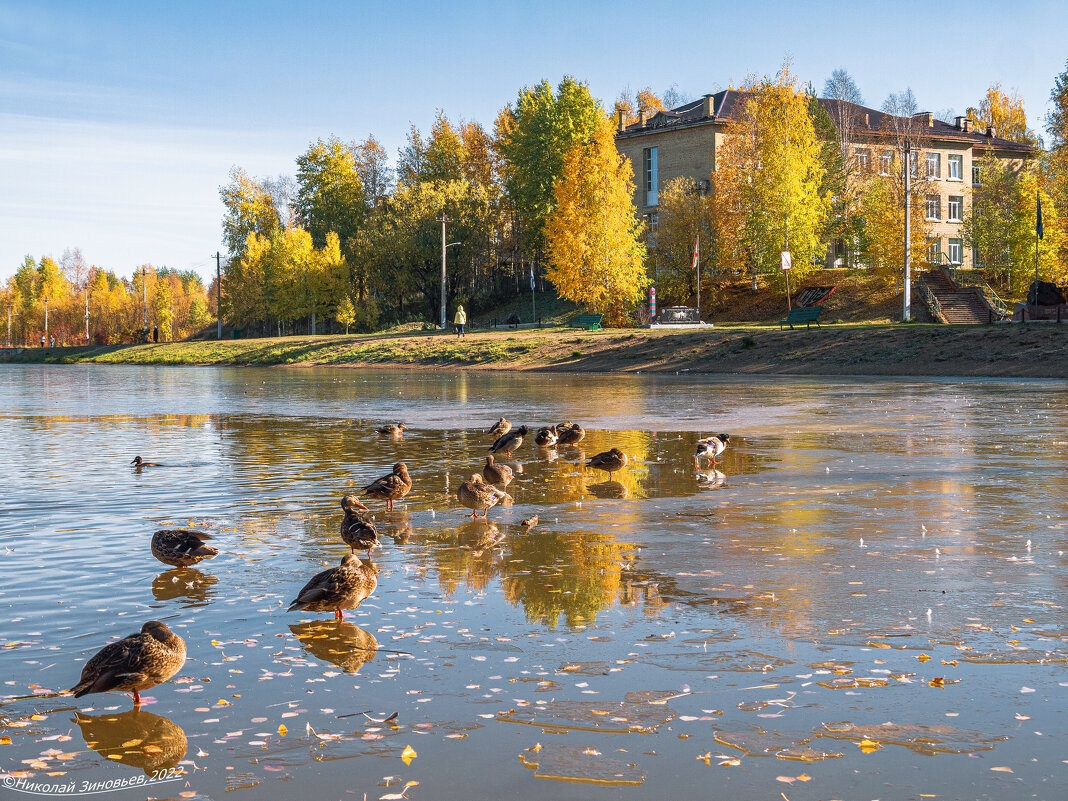 Ухта. Осень в парке КиО. Вид на школу-лицей №1, первый лед на запруде реки Чибъю - Николай Зиновьев Ухта. Осень в парке КиО. Вид на школу-лицей №1, первый лед на запруде реки Чибъю - Николай Зиновьев