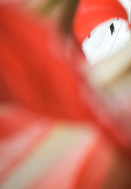 * - Сергей Полянский