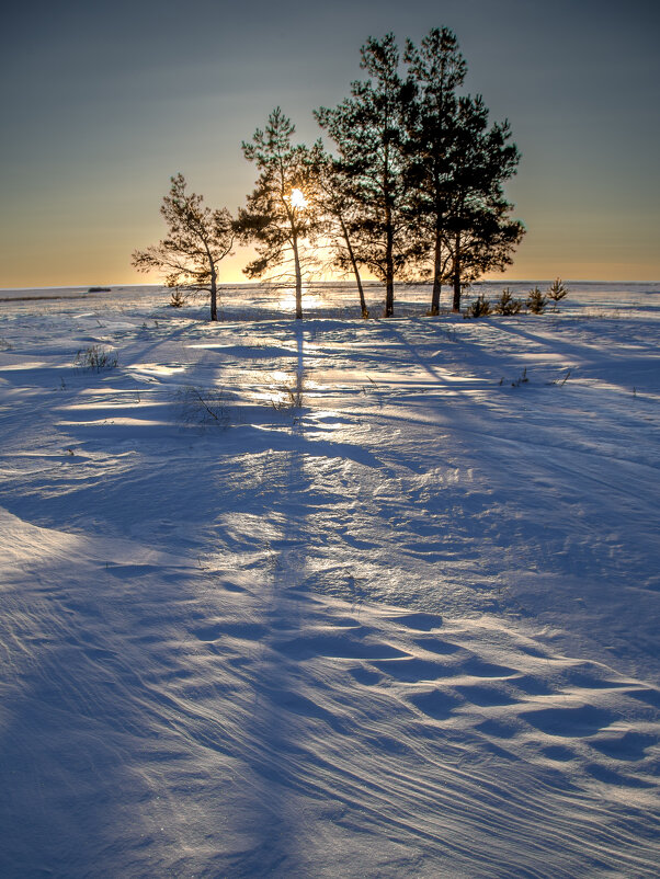 Зимний лес 5/5 - Barguzin_45 Иваныч Зимний лес 5/5 - Barguzin_45 Иваныч