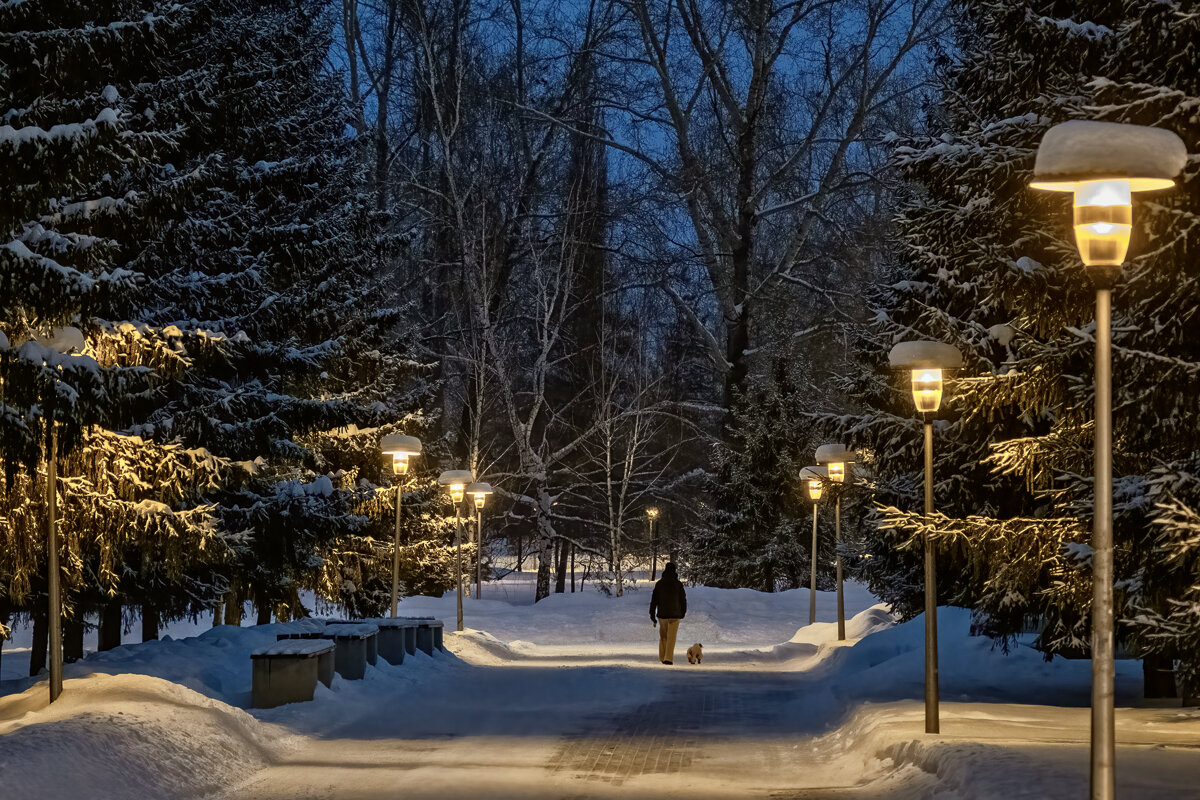 В тишине... - Сергей Шатохин 