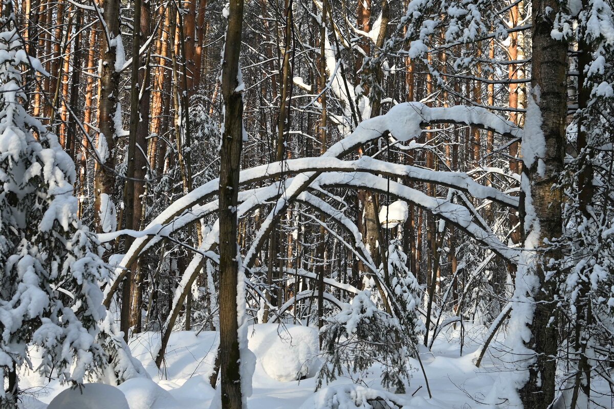 Арки зимние. - ВикТор Быстров