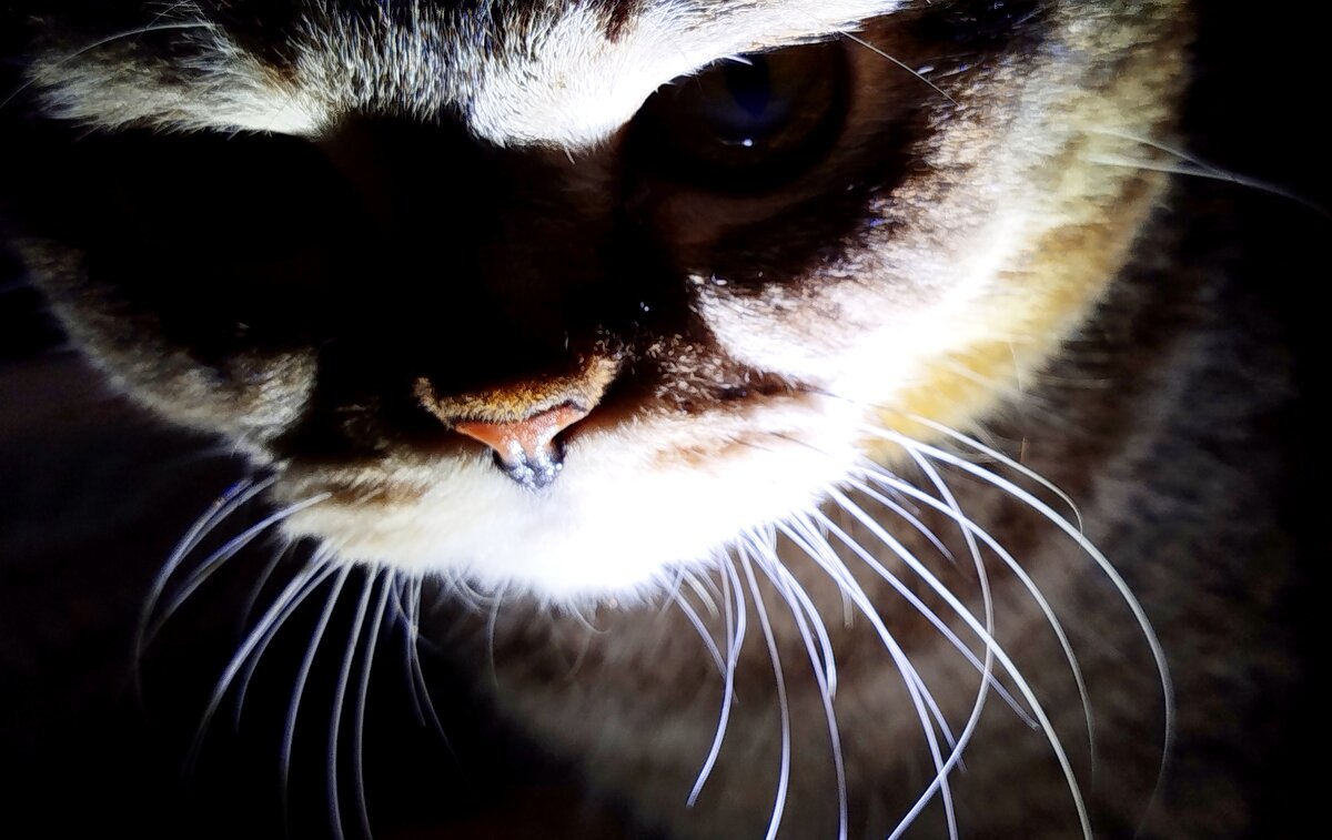 Ууу!страшно? - светлана льдокова