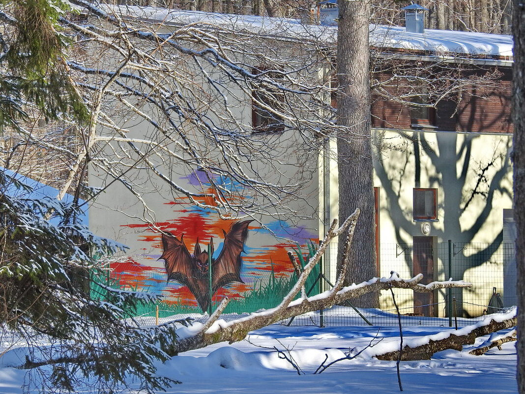 зимние пейзажи - ИННА ПОРОХОВА