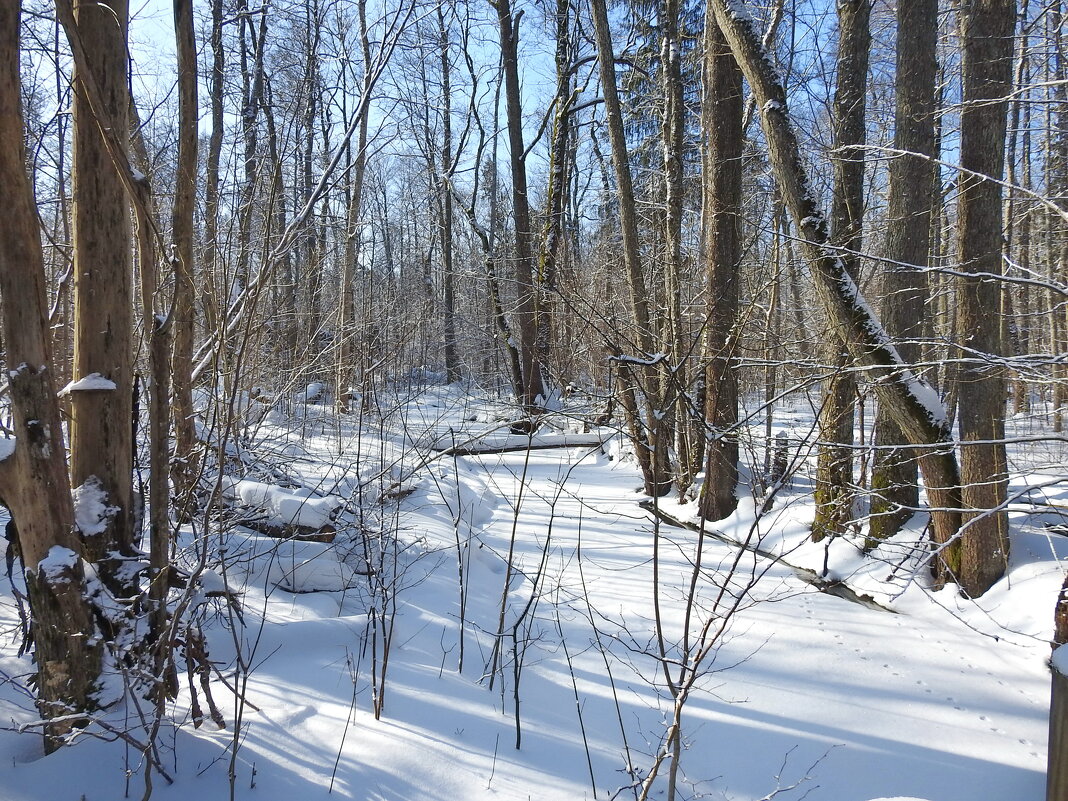 зимние пейзажи - ИННА ПОРОХОВА