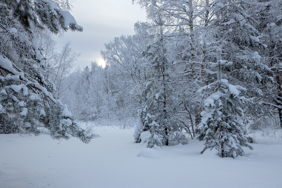 *** - Андрей Дурапов