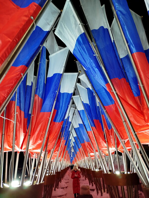 Перспектива - Александр Чеботарь