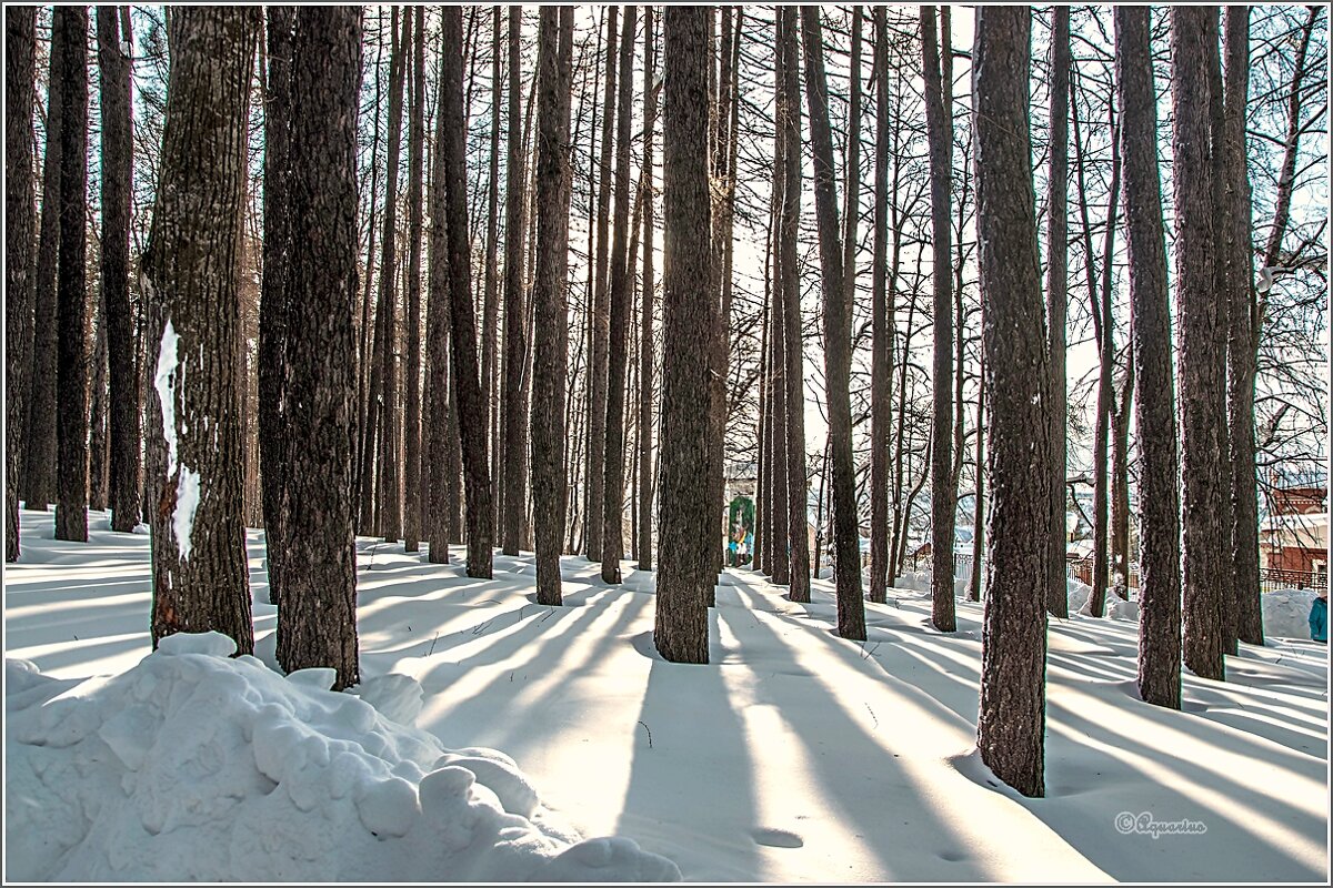 Зимний парк... - Aquarius - Сергей Зимний парк... - Aquarius - Сергей