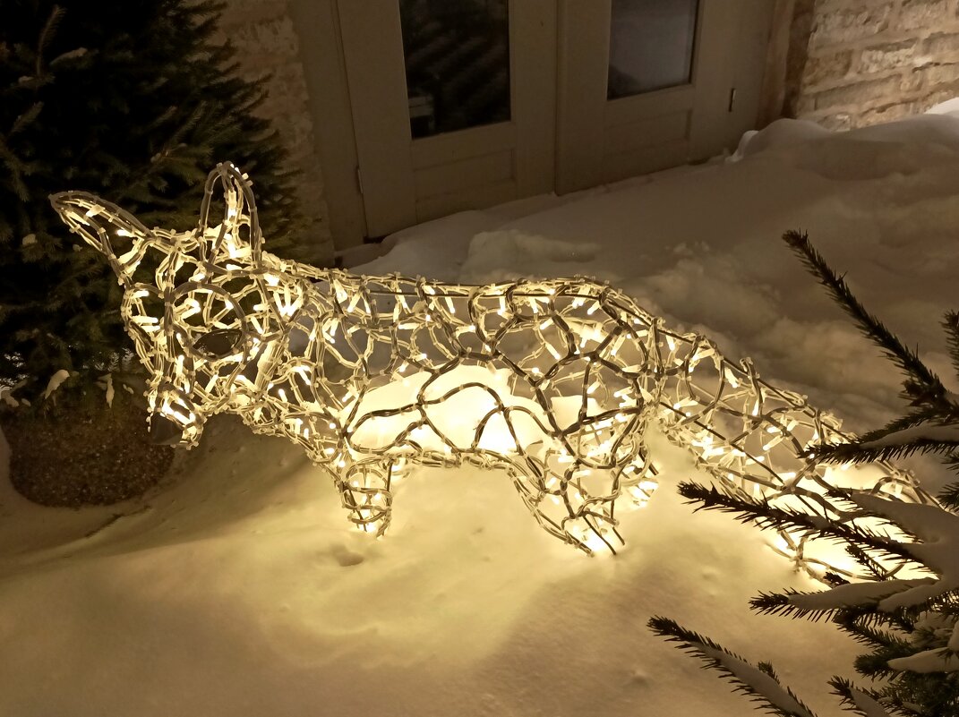 Вечерняя прогулка - Veera V Вечерняя прогулка - Veera V